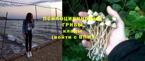 а пвп мука Верхний Тагил