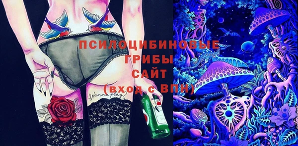 PSILOCYBIN Верея